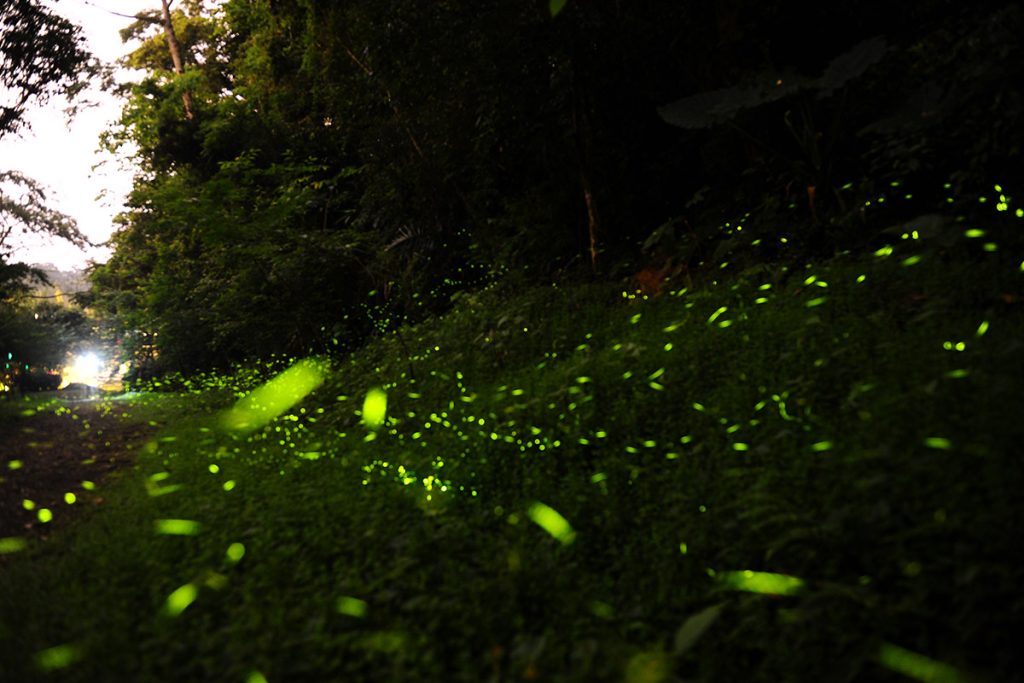 ��Ȼ����