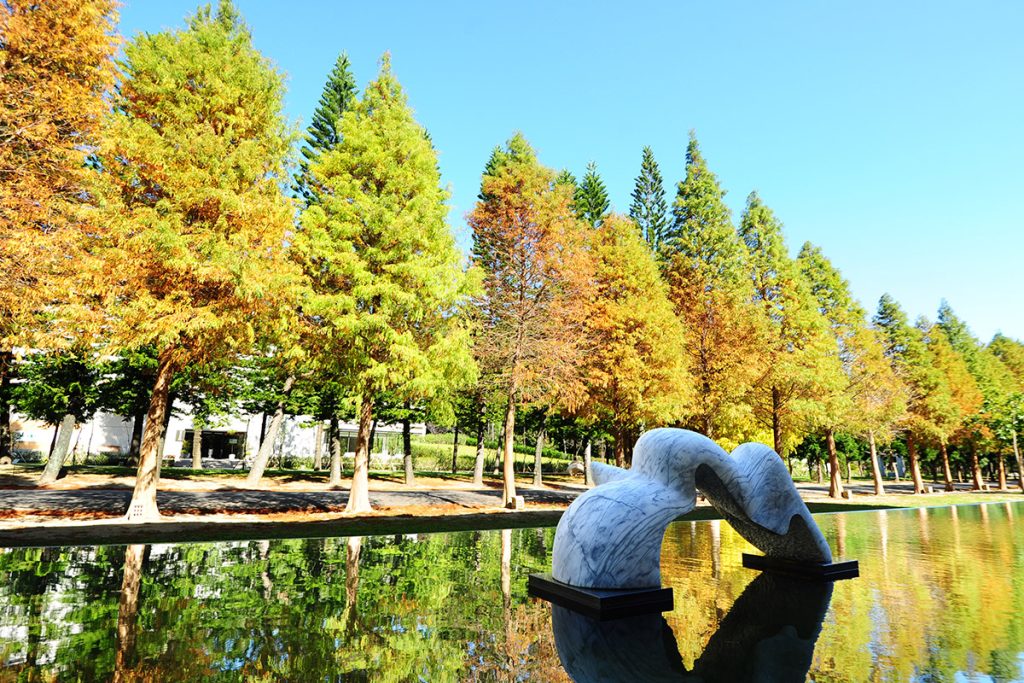 �������W(xu��)